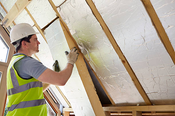 Best Insulation Maintenance and Repair in Genoa, OH